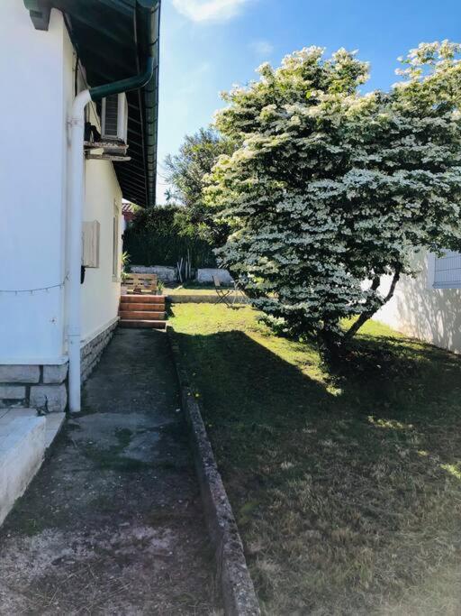 Le Petit Erromardie Saint-Jean-de-Luz Exteriör bild